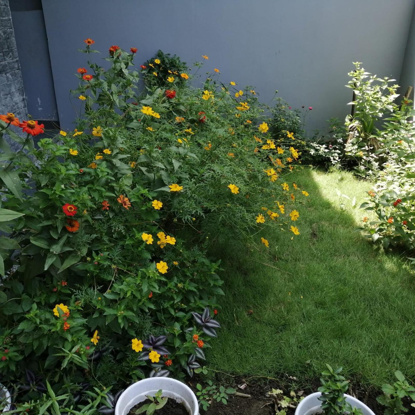 Aashiyana Home Stay Бопал Екстериор снимка